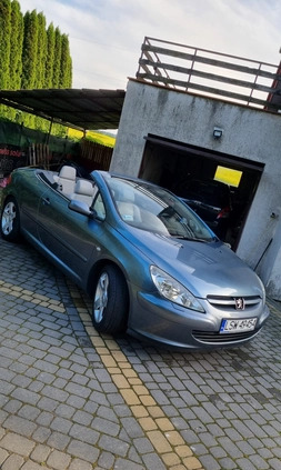 Peugeot 307 CC cena 9800 przebieg: 316000, rok produkcji 2004 z Aleksandrów Łódzki małe 154